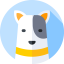 Favicon